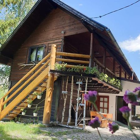 Pensiunea Padina Бран Экстерьер фото