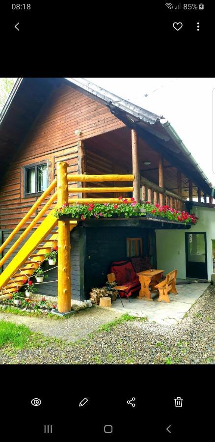 Pensiunea Padina Бран Экстерьер фото