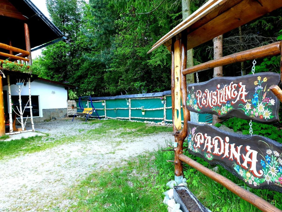 Pensiunea Padina Бран Экстерьер фото