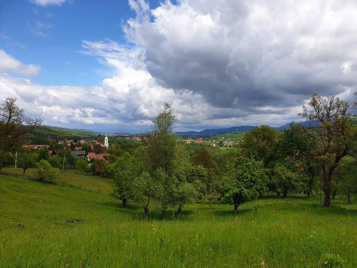 Pensiunea Padina Бран Экстерьер фото