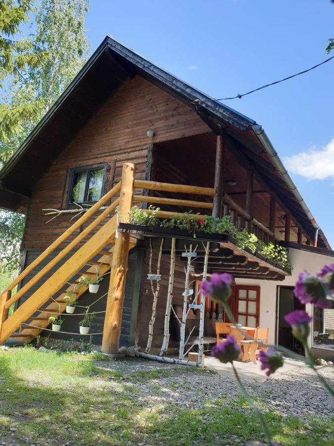 Pensiunea Padina Бран Экстерьер фото